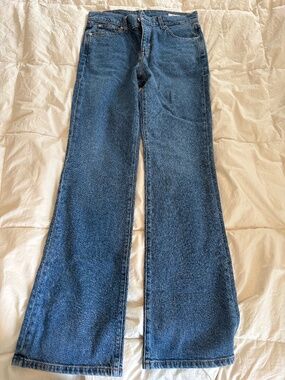 AYR The Hangout Jeans 29 High Rise Straight Leg “Merci Beaucoup” Wash